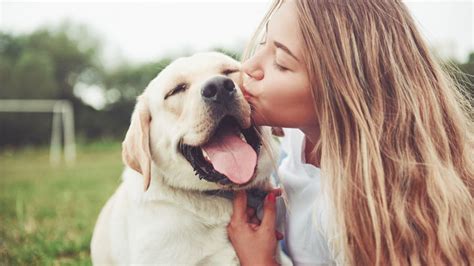 Une étude indique que les chiens versent des larmes de joie lorsqu ils