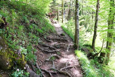 Wanderung zu den Buchenegger Wasserfällen vom Hündle aus