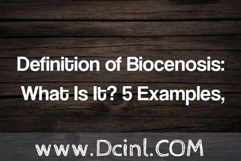 Definition of Biocenosis: What Is It? 5 Examples, Types, Uses, Synonyms ...