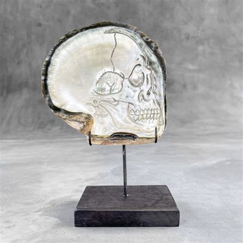 Beautiful Hand Carved Mother Of Pearl Shell Human Skull Catawiki