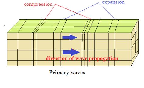 Contrastprimary and secondary seismic waves. | Quizlet