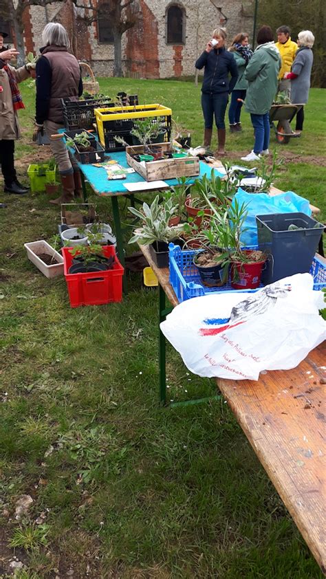 Bourse Aux Plantes De Printemps Le Mesnil Theribus