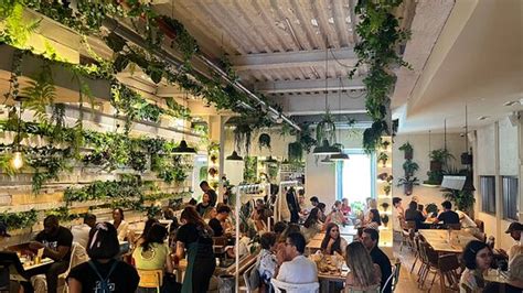 Fauna Flora Chiado Lisbon Restaurant Reviews Photos Tripadvisor