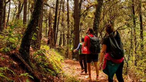 Escápate a la sierra norte el sitio ideal para el ecoturismo