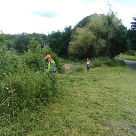 Trabajos De Desbroce Forestal En A Merca Aspamadis