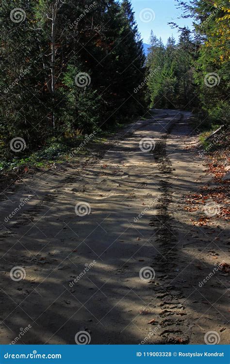 Tracks of a Crawler Tractor Stock Photo - Image of land, needle: 119003328