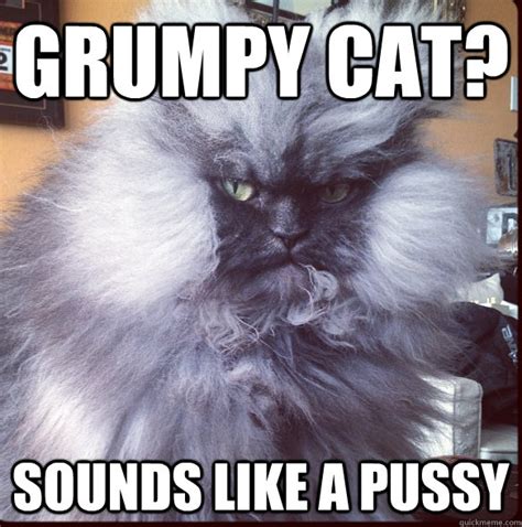 Grumpy Cat Sounds Like A Pussy Misc Quickmeme