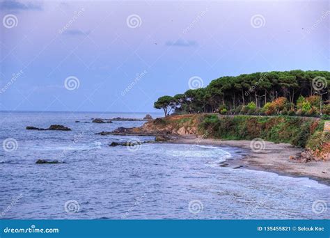 Coast Of Black Sea Unye Ordu Stock Image Image Of Vacation