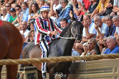 Palio Di Siena Del Agosto La Terza Prova All Istrice