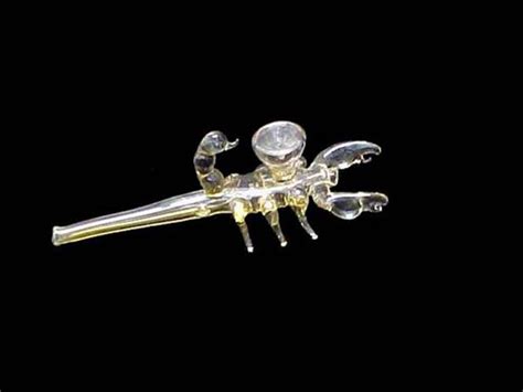 Hand Blown Glass Scorpion Pipe Etsy