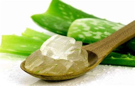 Aloe Vera for Acne – How the Miracle Plant Helps With Pimples