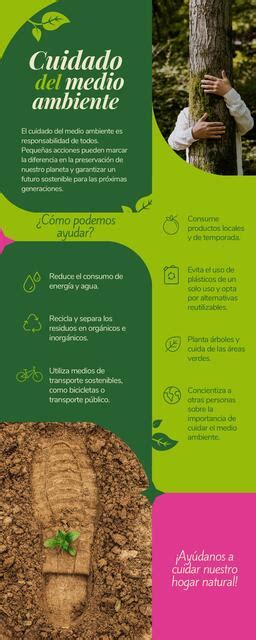 Infografía Cuidado Del Medio Ambiente Profesional Marielena Udocz