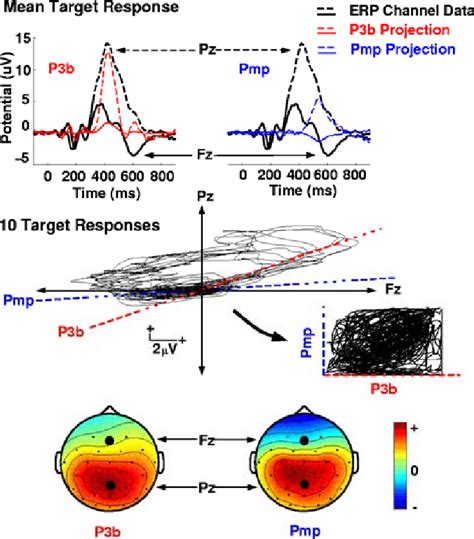 Ica Identifies Spatially Periods Of Fixed Scalp Topography In Sets Of