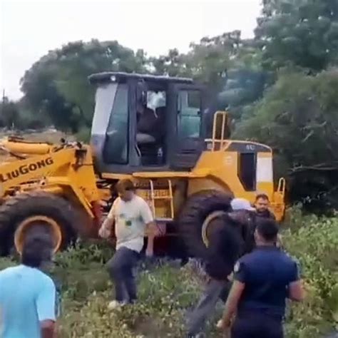 Por las lluvias cayó un árbol de gran porte y se desbordó un canal en