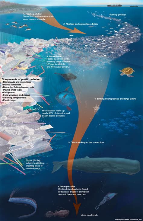 Plastic Pollution Marine Debris Microplastics Landfill Britannica