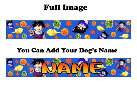 Personalized Anime Dragon Cartoon Dog and Cat Collar and Leash Set