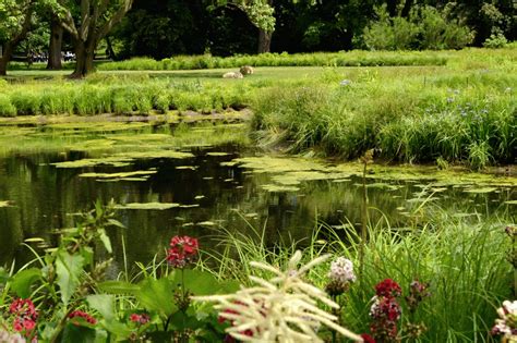 Water Garden - Brooklyn Botanic Garden