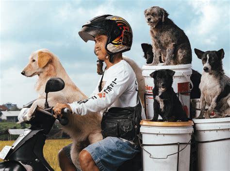 B2B Shop – Potato Head Shop