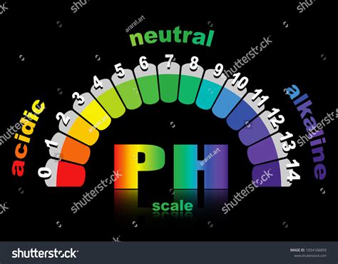 Scale Ph Value Acid Alkaline Solutions Stock Vector Royalty Free