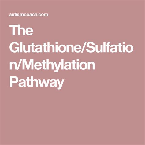 The Glutathione/Sulfation/Methylation Pathway | Methylation, Glutathione, Pathways