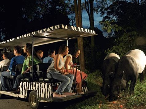 Singapore: Night Safari