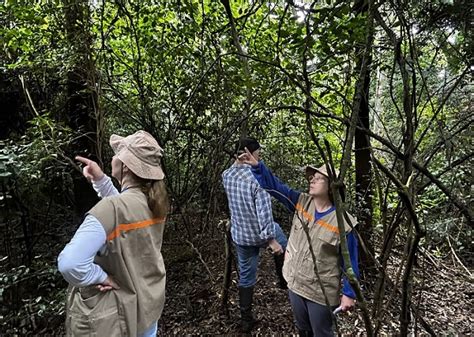 Conhecer e conservar Itaipu e Embrapa desenvolvem inventário florestal