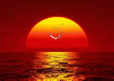 Sunset Gifs, Background HD Wallpaper Pxfuel, 40% OFF