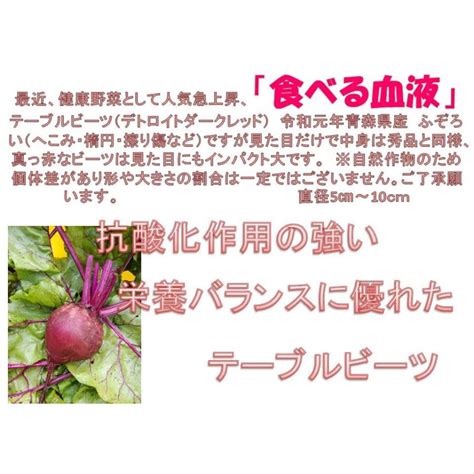 西洋野菜 ビーツ 3kg 無農薬野菜 野菜ソムリエが栽培 ふぞろい 令和2年産 青森産 テーブルビート 農園直送 020013十和田まぎー