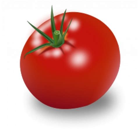 Free Vector Tomato Vector Red Fruit