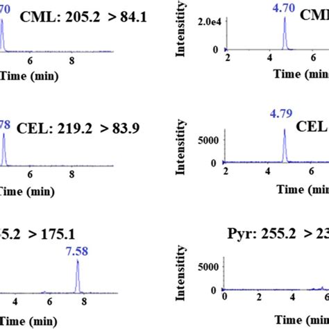 Extracted Ion Chromatograms Of The Three AGEs Namely CML CEL And