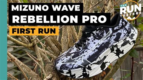 Mizuno Wave Rebellion Pro First Run Review Km Workout In Mizunos