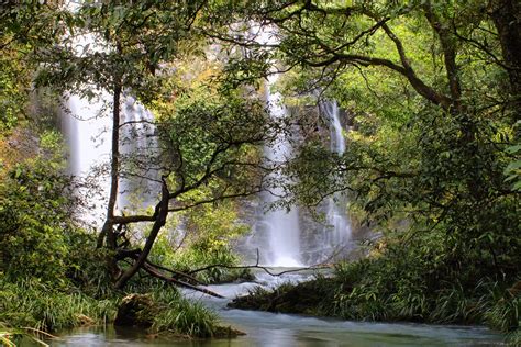 Guide to Visiting Australia's Daintree Rainforest incl. Cape Tribulation