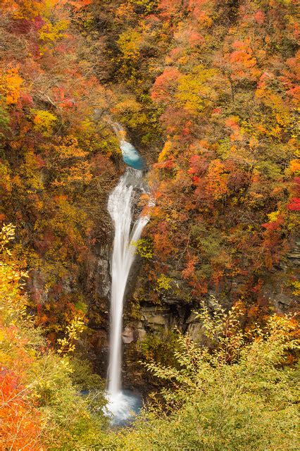 定番から穴場まで！栃木県のおすすめ観光スポット61選 Tripa トリパ ｜旅のプロがお届けする旅行に役立つ情報