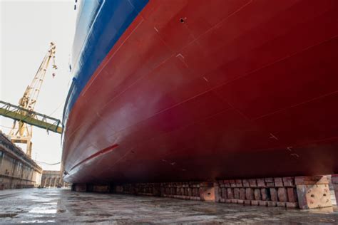 Whats On The Bottom Of A Cruise Ship