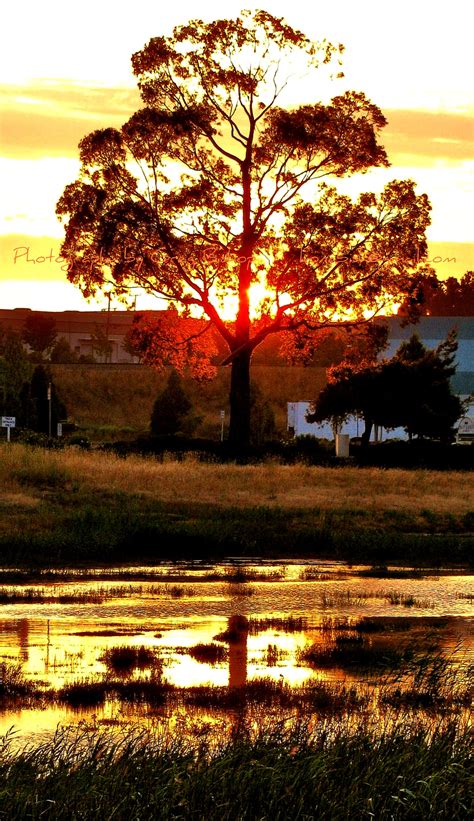 hiddenbrooke golf club vallejo 10