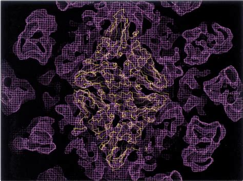 Structure of an icosahedral virus (TBSV) at 5n9 A / resolution. The ...