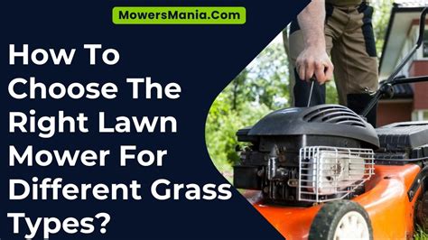 How To Choose The Right Lawn Mower For Different Grass Types