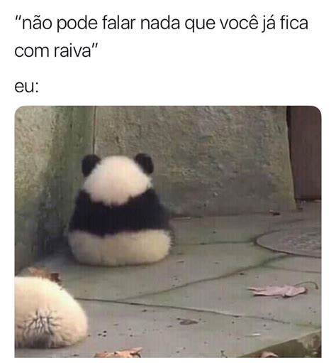 Não pode falar nada que você já fica raiva Eu Memes