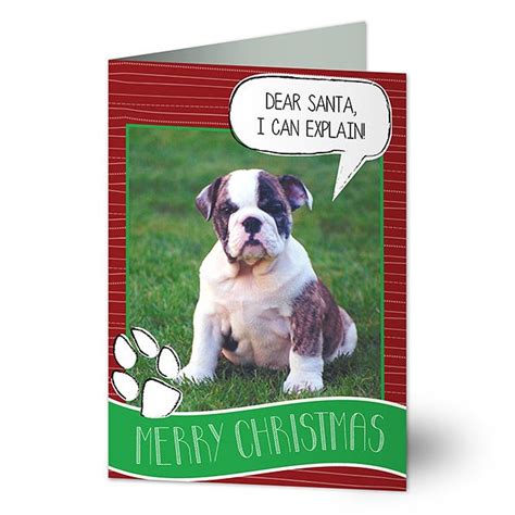 Personalized Pet Photo Christmas Cards - Pet Greeting