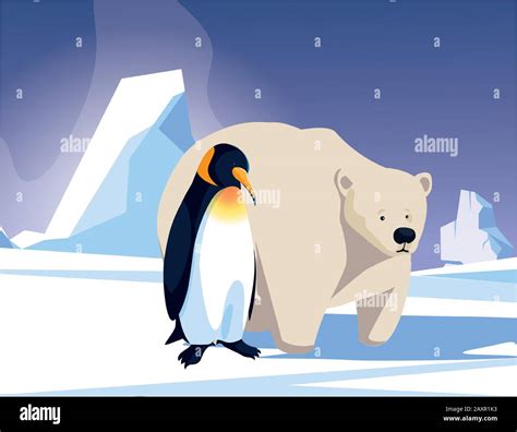 Funny Penguin And Polar Bear