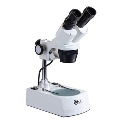 MicroscÓpio EstÉreoscÓpio Lupa Binocular Aumento De 20x E 40x