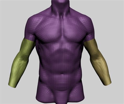 Artstation Male Torso C Resources