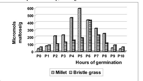 Amylase Activity M Maltose G In Panicum Miliaceum And Setaria