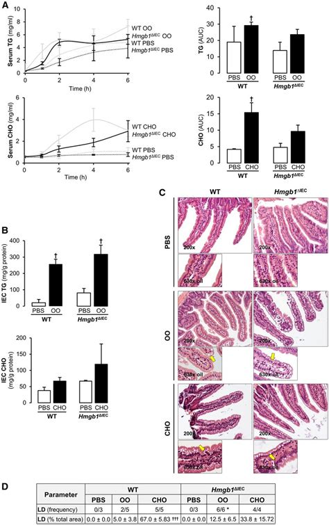 Hmgb1 Δiec Mice Have Delayed Andor Reduced Cm Release Wt And Hmgb1