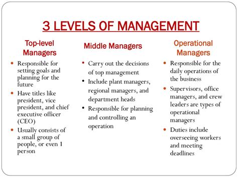 Levels Of Management In Business