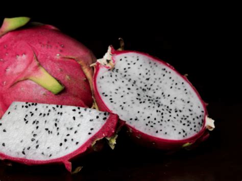 Grow Your Own Dragon Fruit Plant Complete Growing Guide