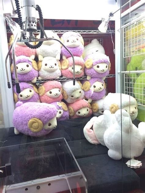 Softness Daily On Twitter Sheep Plushie Crane Machine Https T Co