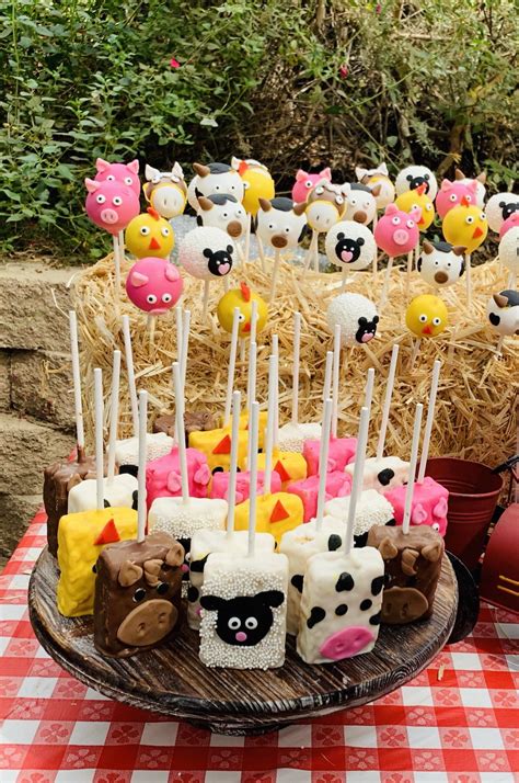 fantastic farm birthday party farm birthday party ideas  birthday