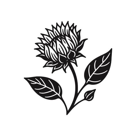 Vector De Floraci N De Girasol Gratuito Svg Archivo Vectorial Svg En