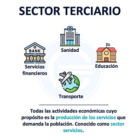 Sectores Económicos